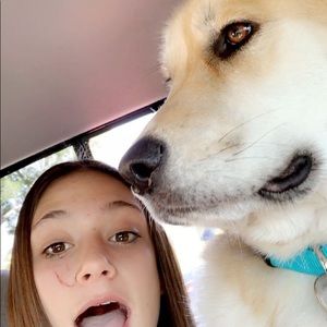 Meet your Posher, Brooklyn